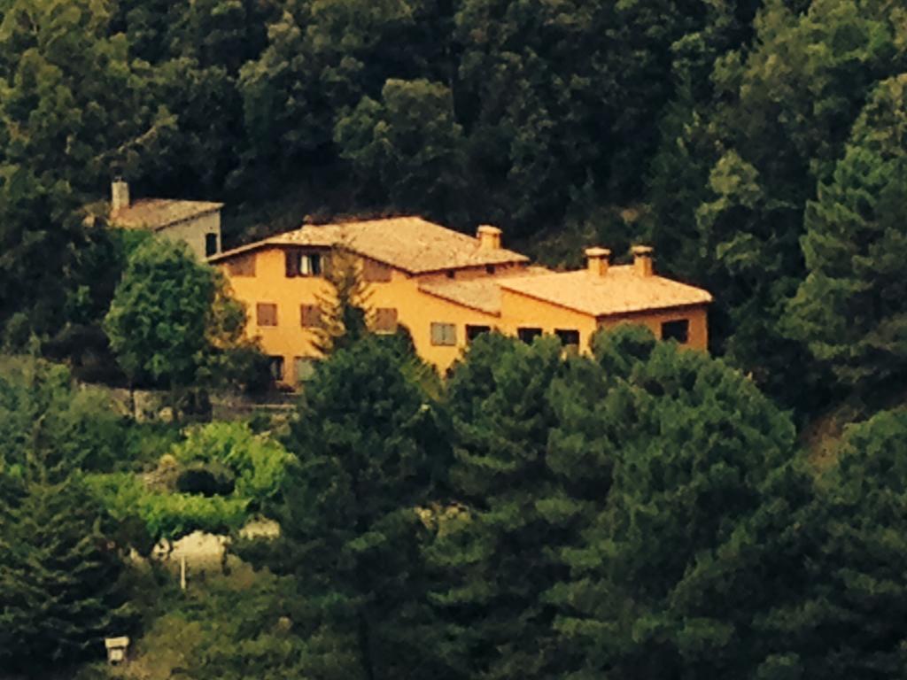 Hostal L'Ou De Reig Montseny Extérieur photo
