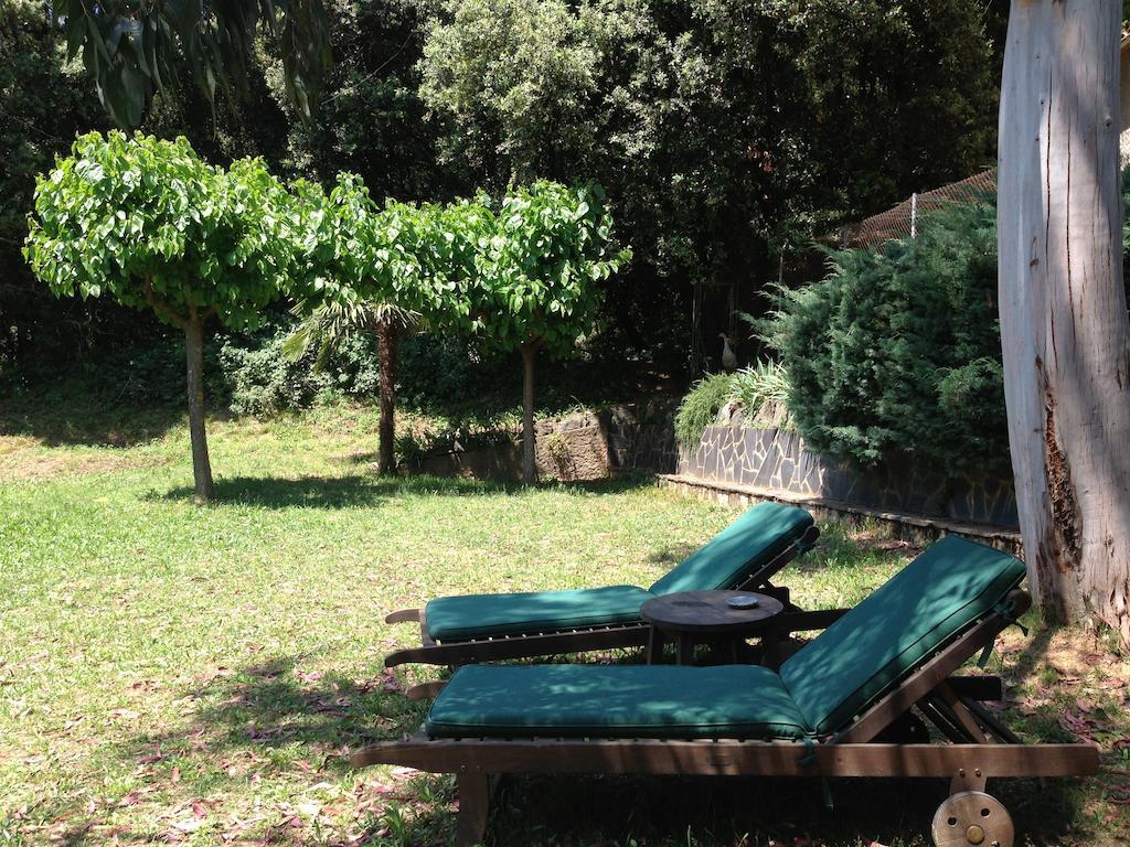 Hostal L'Ou De Reig Montseny Extérieur photo