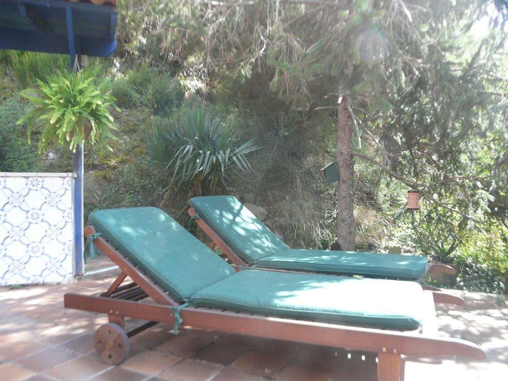 Hostal L'Ou De Reig Montseny Extérieur photo